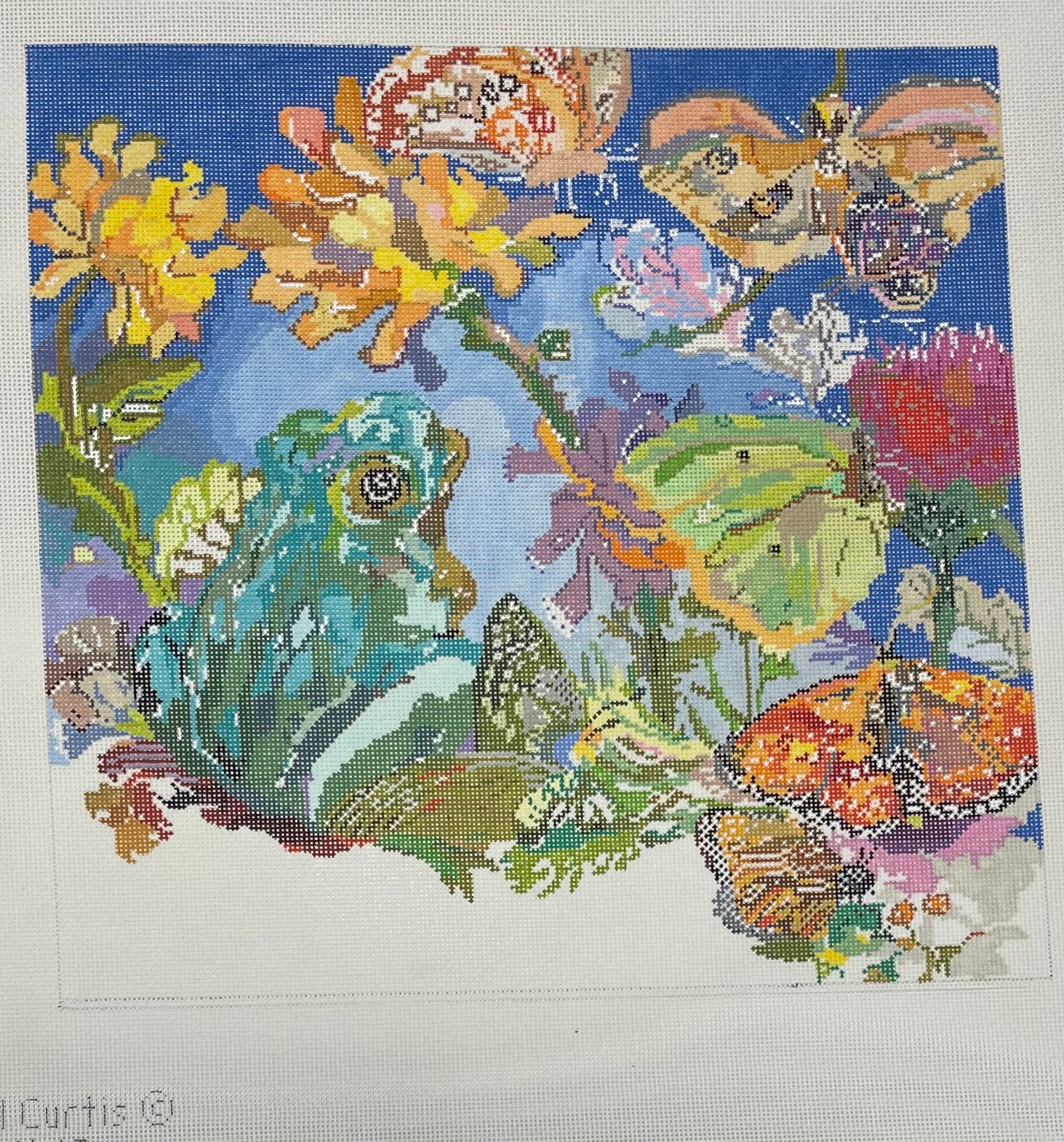 Frogs and Butterflies