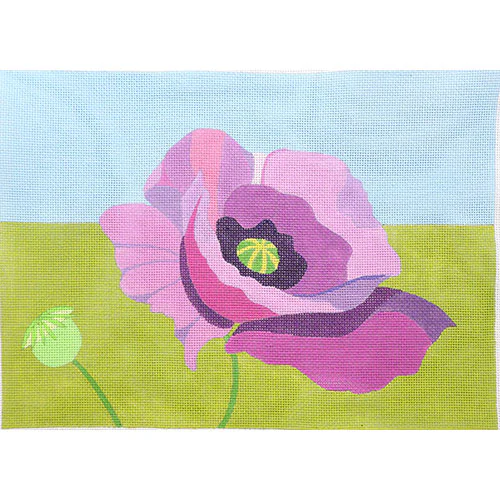 Purple Poppy ZE1018