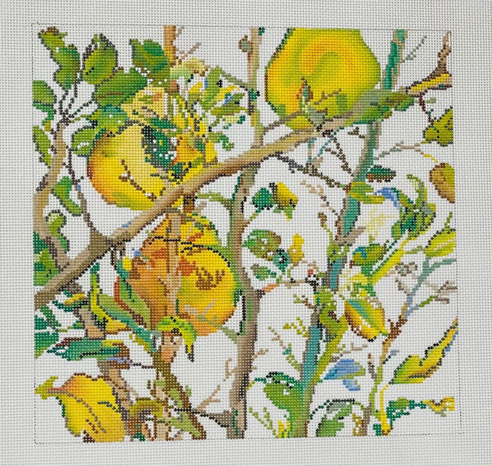 Pears