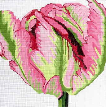 Princess Tulip 139B-34