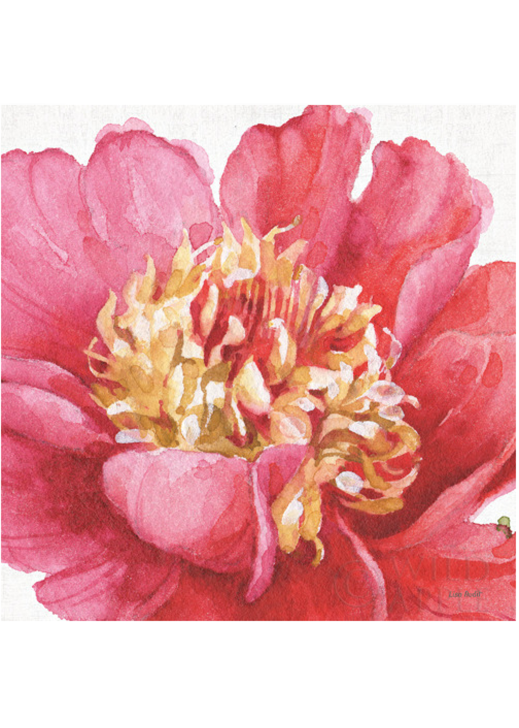 Pink Garden B32