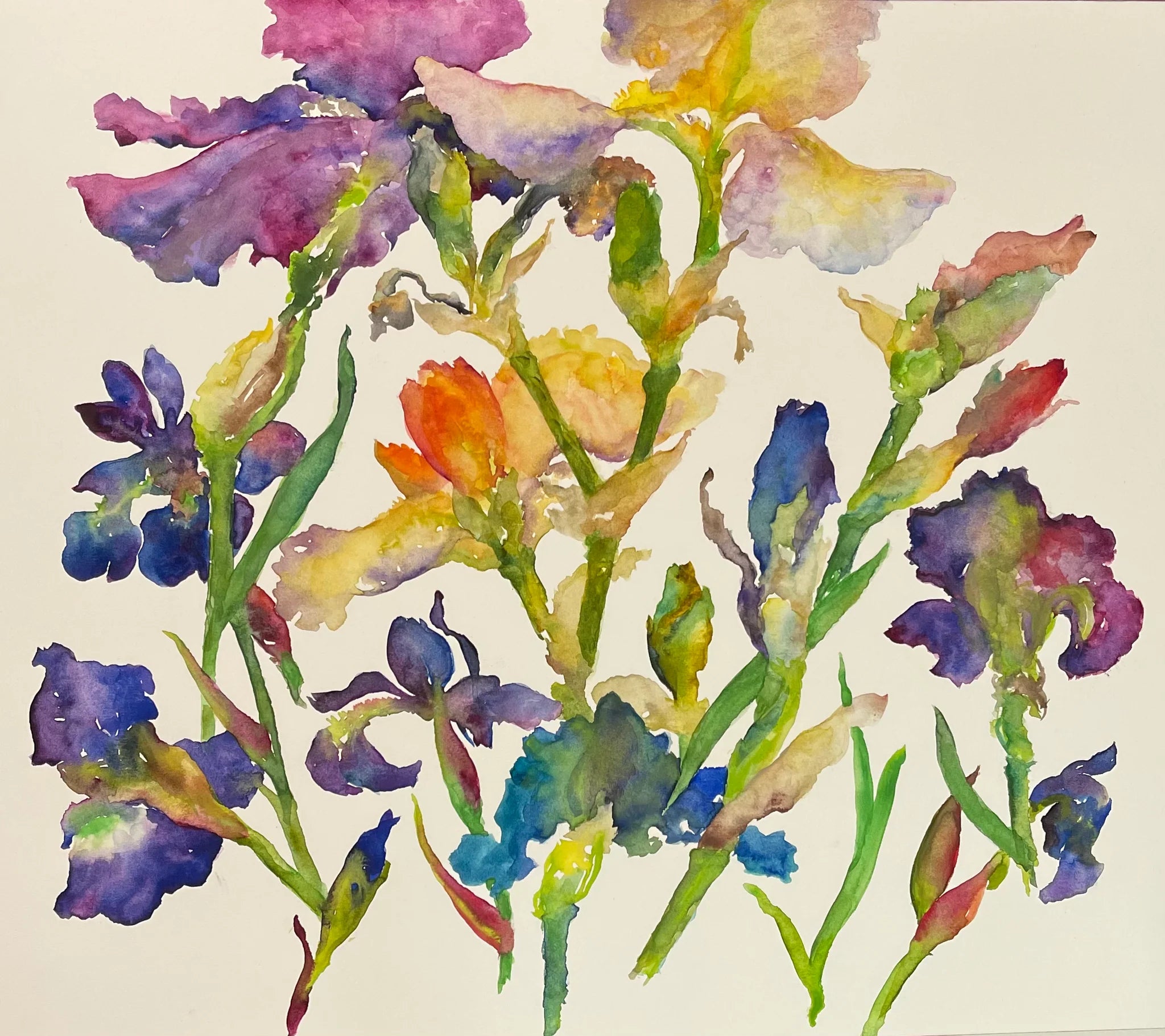 Irises