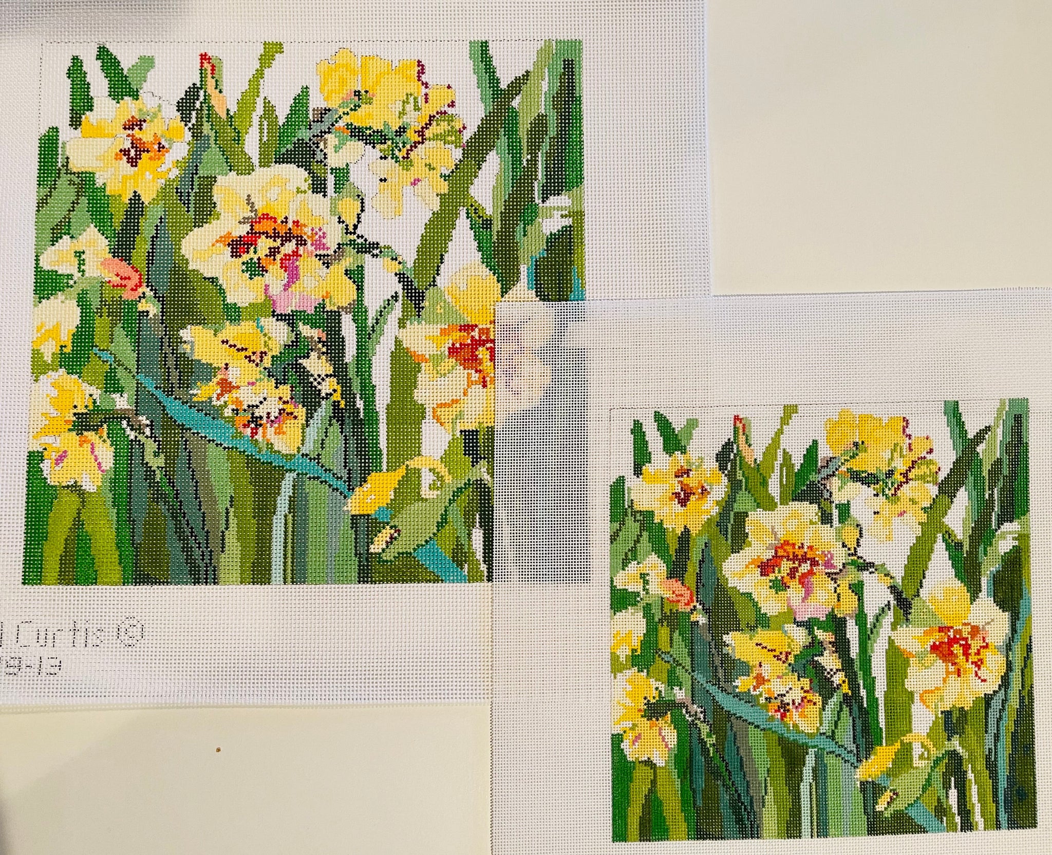 Daffodils CU319