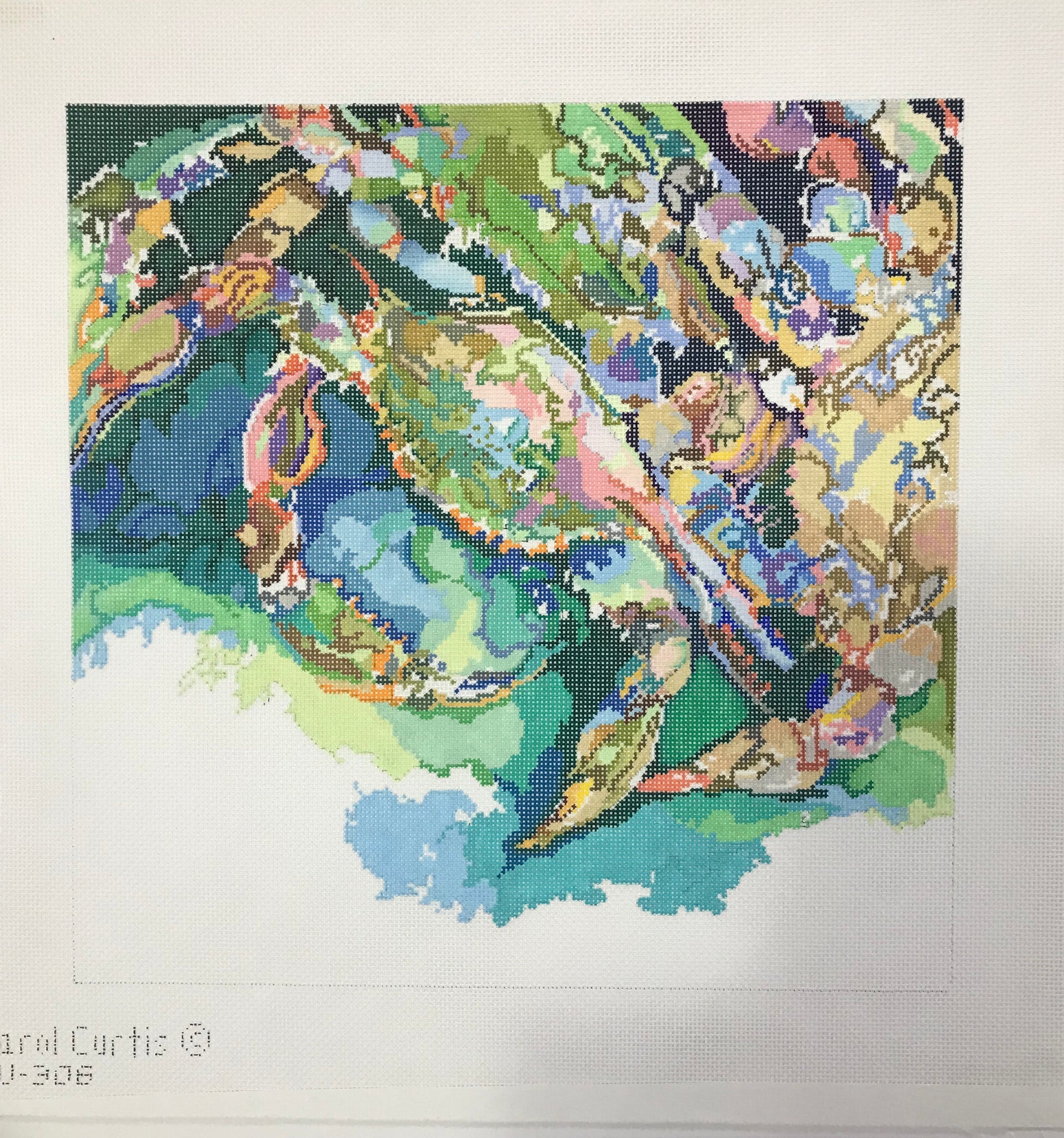 Crabs in Water