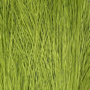 Straw Silk