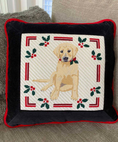 Yellow Lab Puppy w/ Holly P9