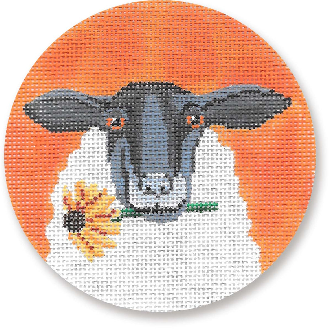 Sheep SC-XO 14