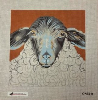 Sheep C-450h Tmc Trunk Show