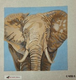 Elephant C-450s Tmc Trunk Show