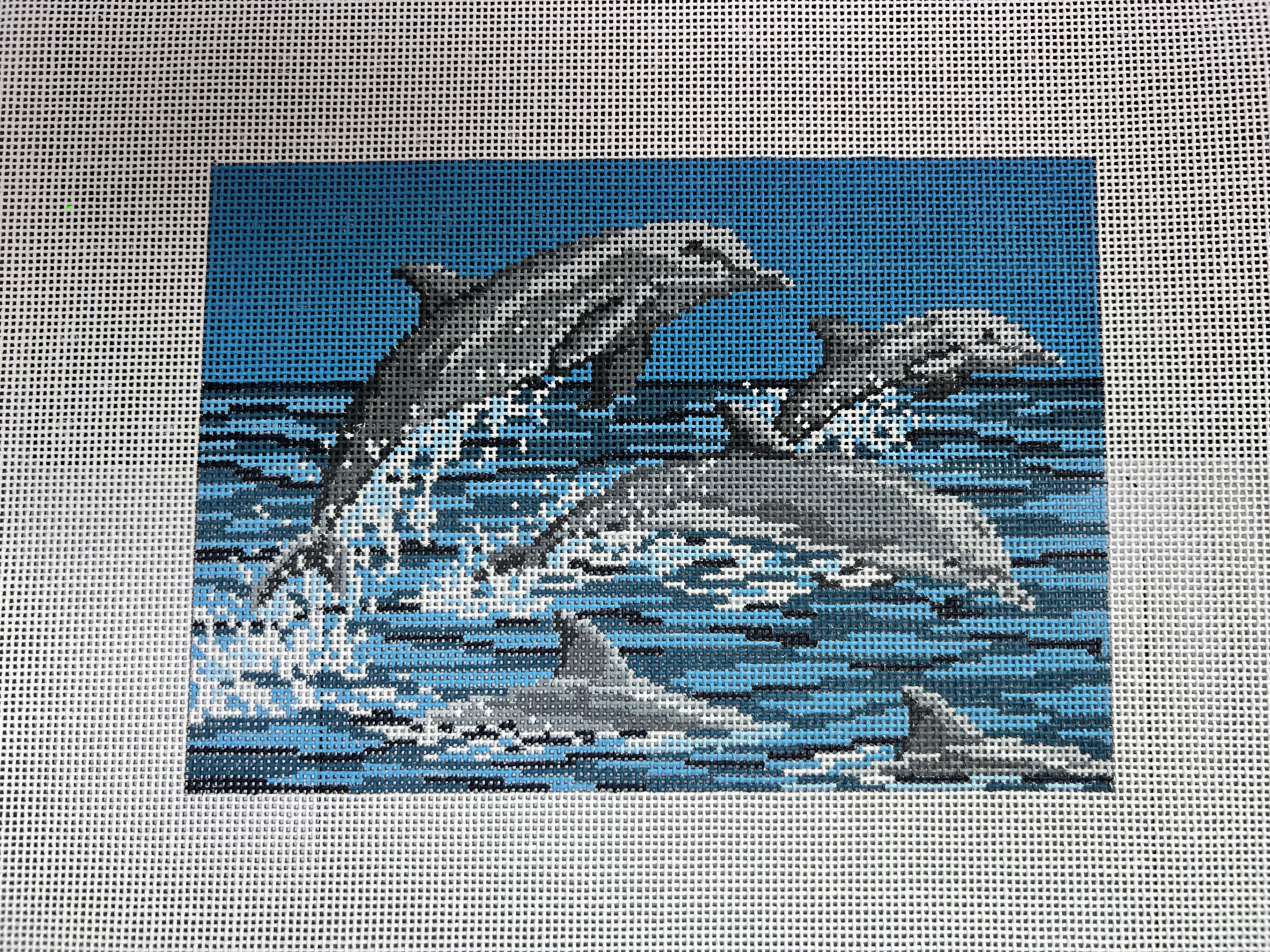Frolicking Dolphins 1103