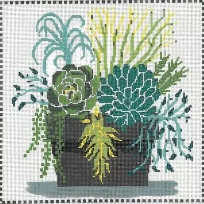 Succulent Pot MS 098