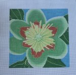 Tulip Poplar Blossom P4